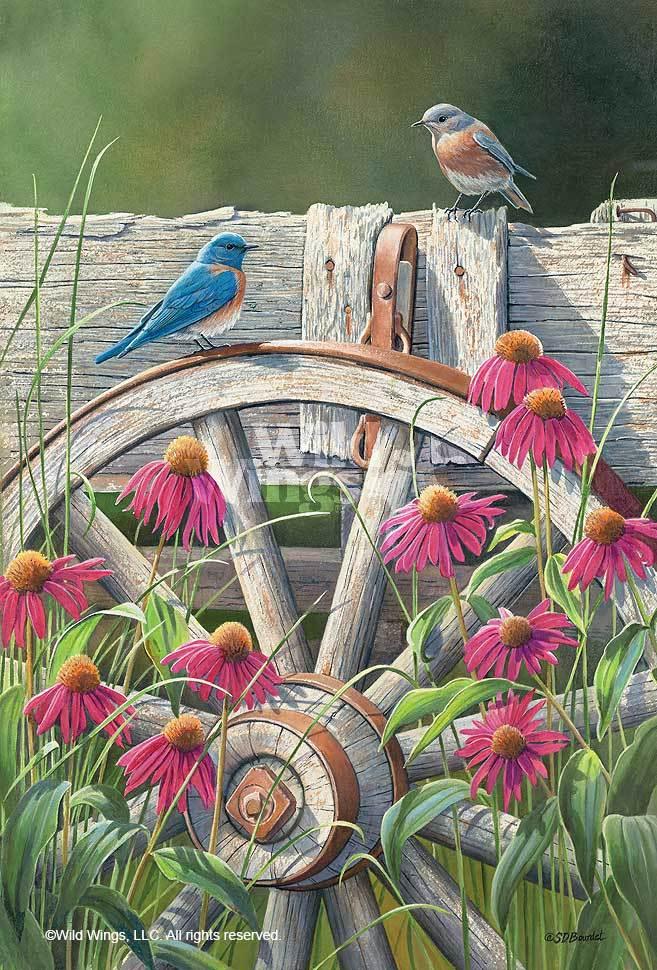 bluebirds-and-coneflowers-art-print-by-susan-bourdet-1085087038d_3a201d15-1f54-46b0-8376-6e8ca70901cf.jpg