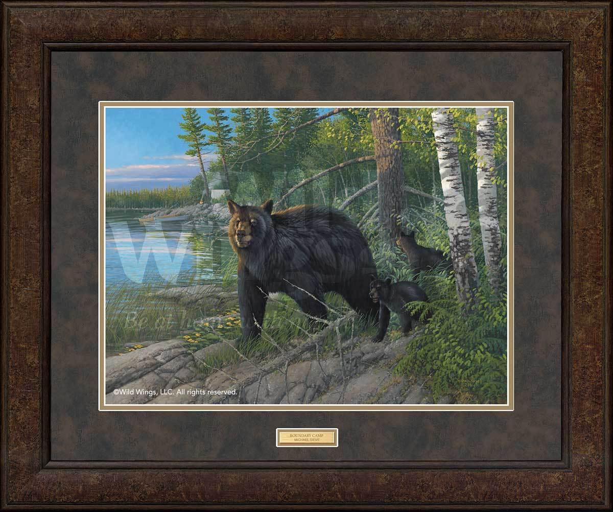 boundary-camp-black-bears-framed-art-print-by-michael-sieve-EPR7801475Dd_226465c4-3f54-431a-b866-d32d4a25b67d.jpg