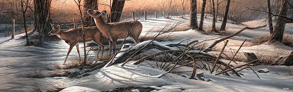 browsing-horizon-whitetail-deer-redlin-1701147889.jpg