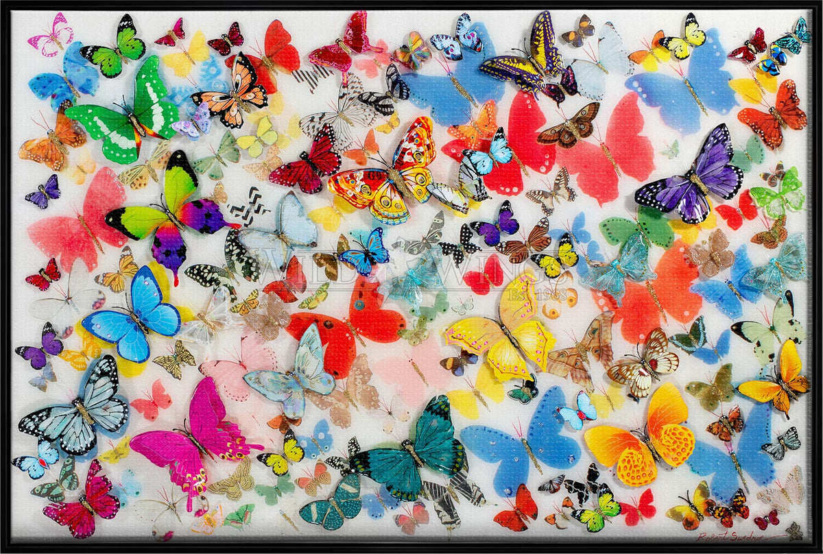 Butterflies Of The World - Limited Edition Canvas