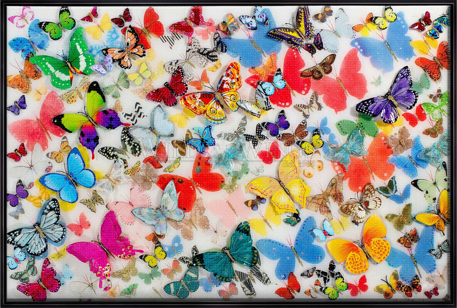Butterflies Of The World - Limited Edition Canvas