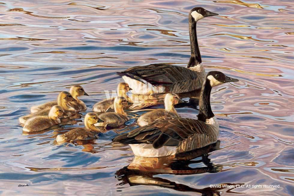 canada-geese-art-print-canadian-armada-by-john-aldrich-1015315003d_089ba72b-6848-4554-b0d1-c50bb261a75f.jpg