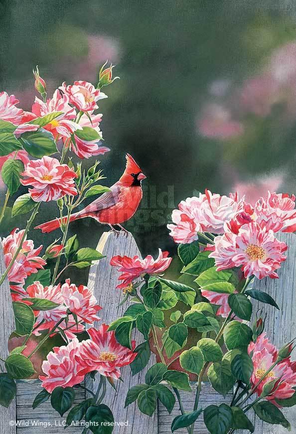 cardinal-art-print-garden-gateway-by-susan-bourdet-1085242026d_acc12f67-fb8f-4710-aaa2-d418cf656a5f.jpg