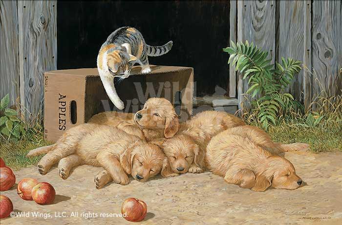 cat-waking-golden-retriever-puppies-art-print-the-wake-up-call-by-persis-clayton-weirs-1925851060d_184c0fab-fc64-4239-836a-e0325cfcbbf7.jpg