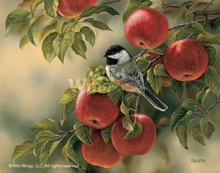 chickadee-and-apples-art-print-orchard-visitor-by-rosemary-millette-1593587037d_16a22948-15e9-485e-a289-10416bd341cf.jpg