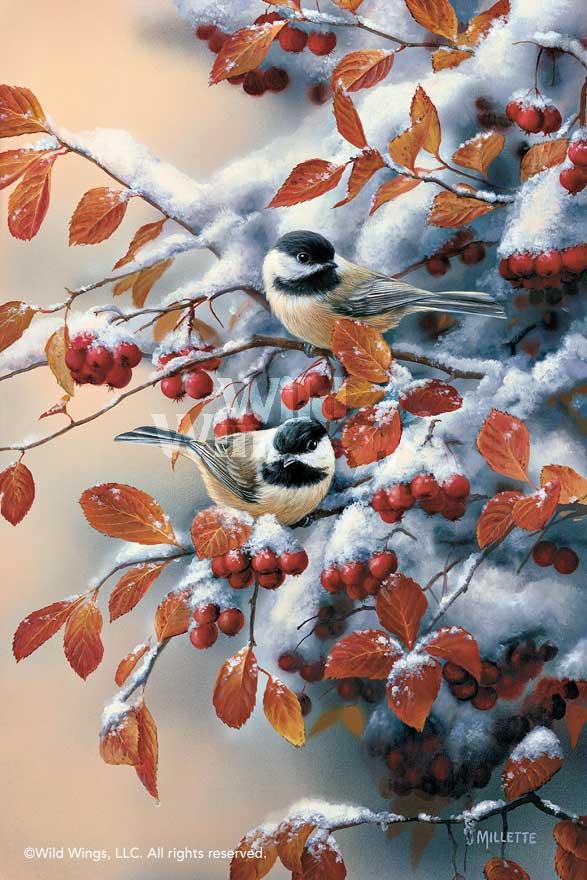 chickadees-art-print-winter-gems-by-rosemary-millette-1593852049d_3b74b443-27f6-44c2-8ad9-0375e0f30e9c.jpg