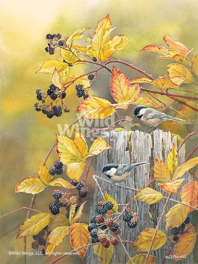 chickadees-birds-art-print-blackberry-haven-by-susan-bourdet-1085085537d_ce66c9cd-bb18-4731-8568-19abfebc1f3c.jpg