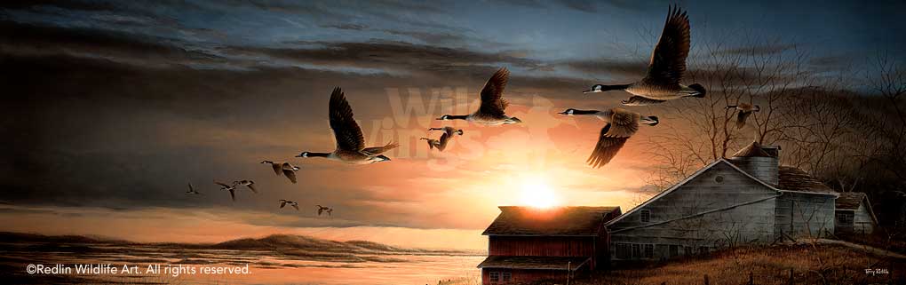 clear-view-canada-geese-art-print-by-terry-redlin-1701163789d.jpg