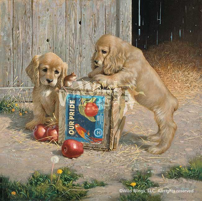 cocker-spaniel-puppies-art-print-double-take-by-jim-lamb-1497140058d_ec33d48b-750f-41ef-9d0c-c13565839909.jpg