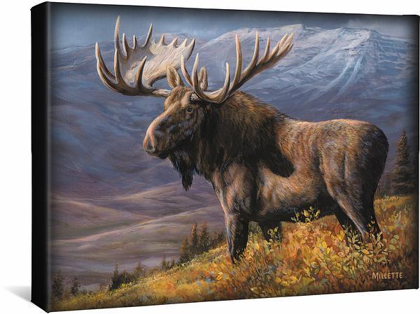 cooper-moose-gallery-wrapped-canvas-rosemary-millette-F593082168CGW_9b1451ff-e9be-4c1e-9e13-143687e56674.jpg