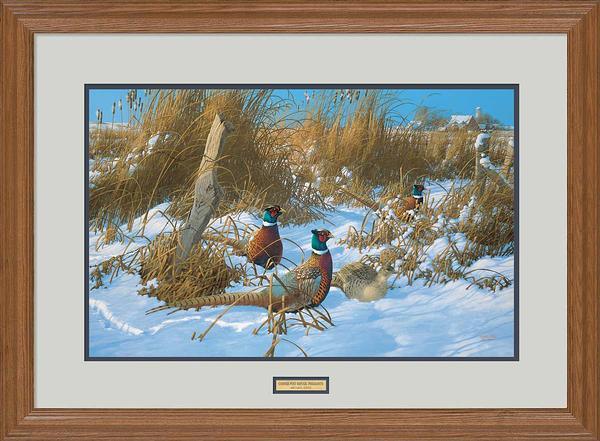 corner-post-refuge-pheasants-framed-limited-edition-print-michael-sieve-F780104019.jpg