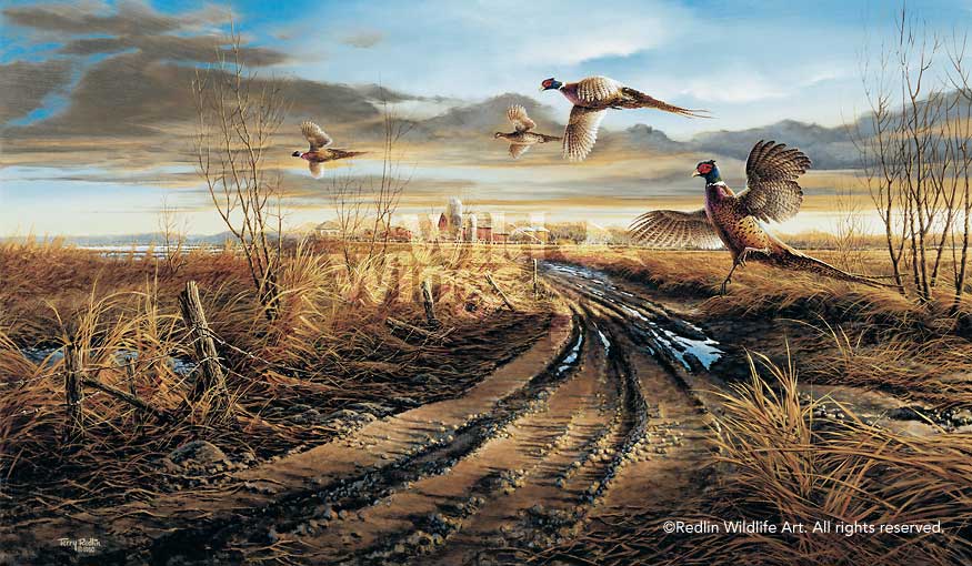 country-road-pheasants-by-terry-redlin-1701181089d.jpg