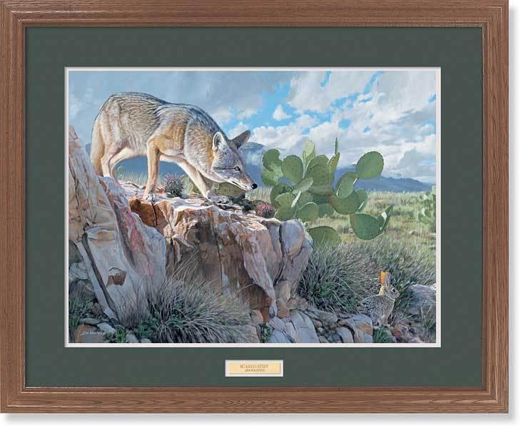 coyote-framed-art-by-jim-kasper-ELT1214371d_b349f3b1-084a-4bfc-9caa-ae215a3c554b.jpg