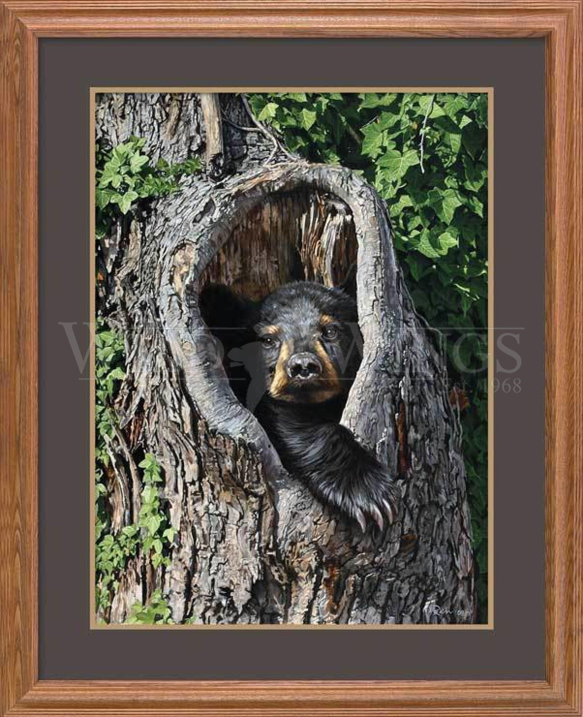 cubby-holemdashblack-bear-gna-premium-framed-print31h-x-25w-art-collection_541.jpg