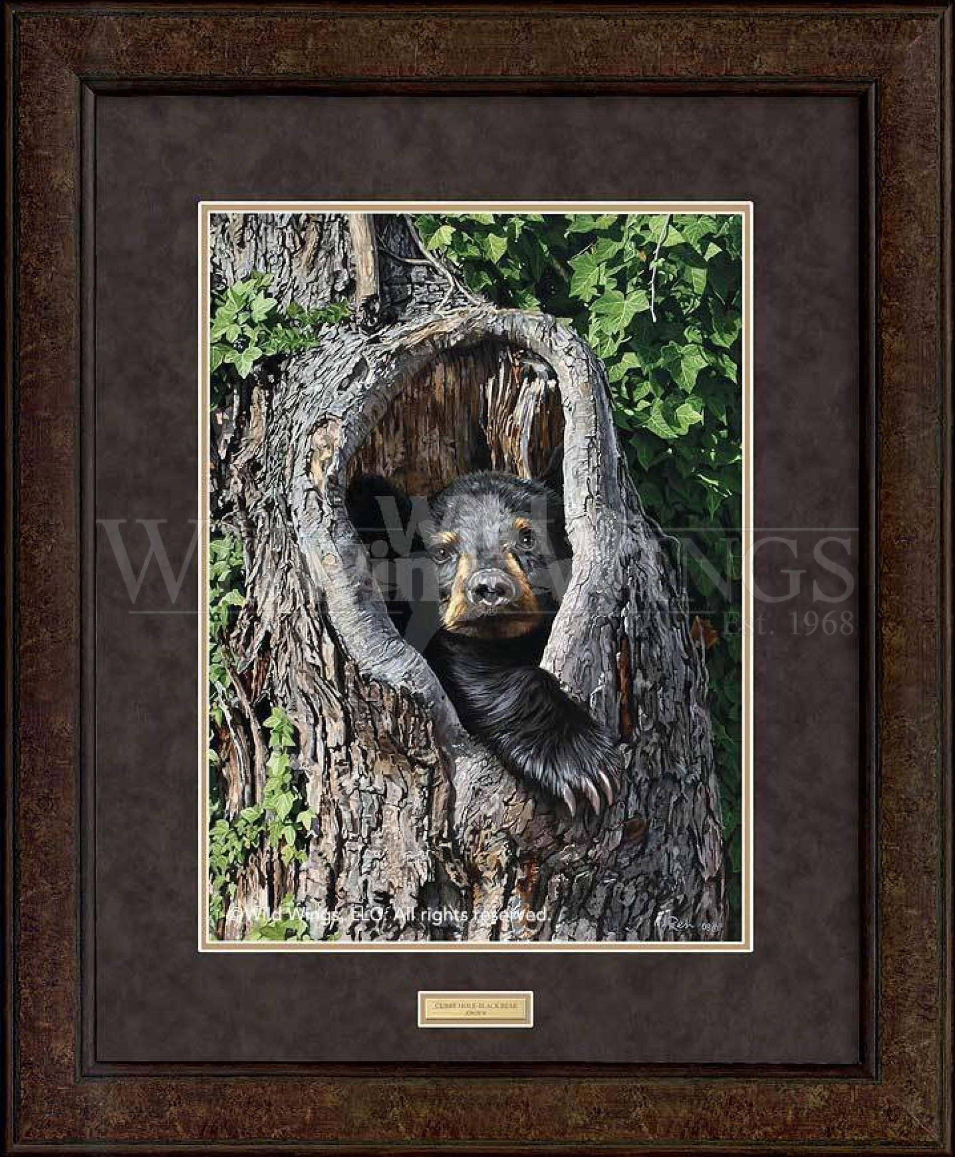 cubby-holemdashblack-bear-gna-premium-framed-print35h-x-29w-art-collection_420.jpg