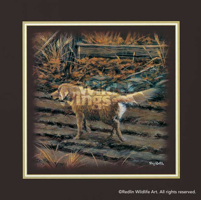 curious-dog-mini-art-print-by-terry-redlin-1701295801d.jpg