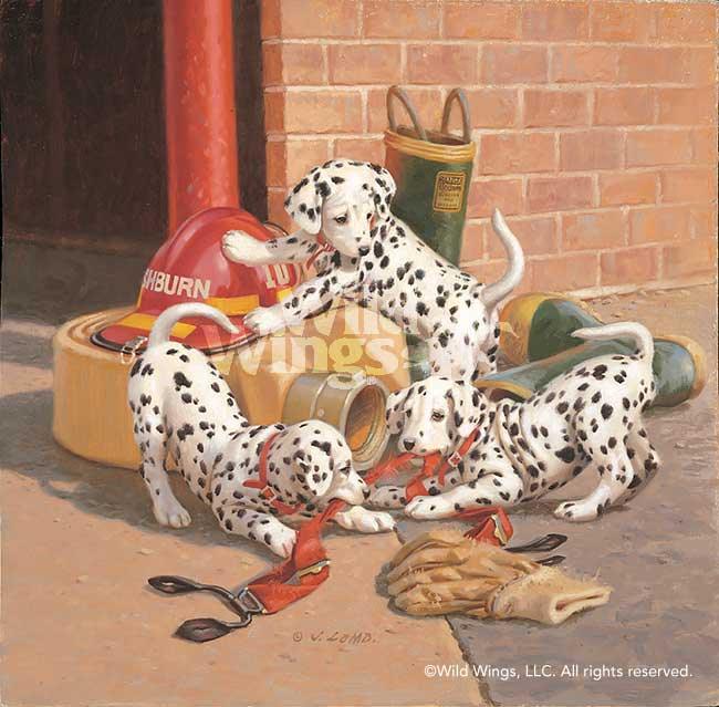 dalmatian-puppies-art-print-by-jim-lamb-1497865062d_244d8228-de11-4c58-beb5-56bd2186eff9.jpg