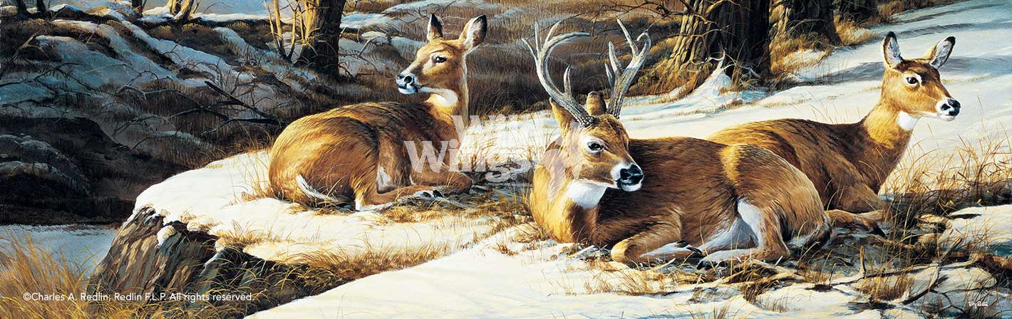 deer-art-print-sunny-afternoon-by-terry-redlin-1701539689d.jpg