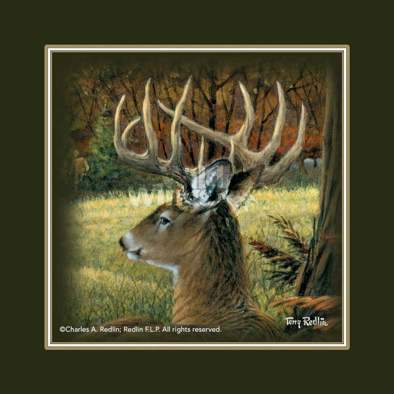 deer-small-art-print-Im-listening-by-terry-redlin-1701535965d.jpg