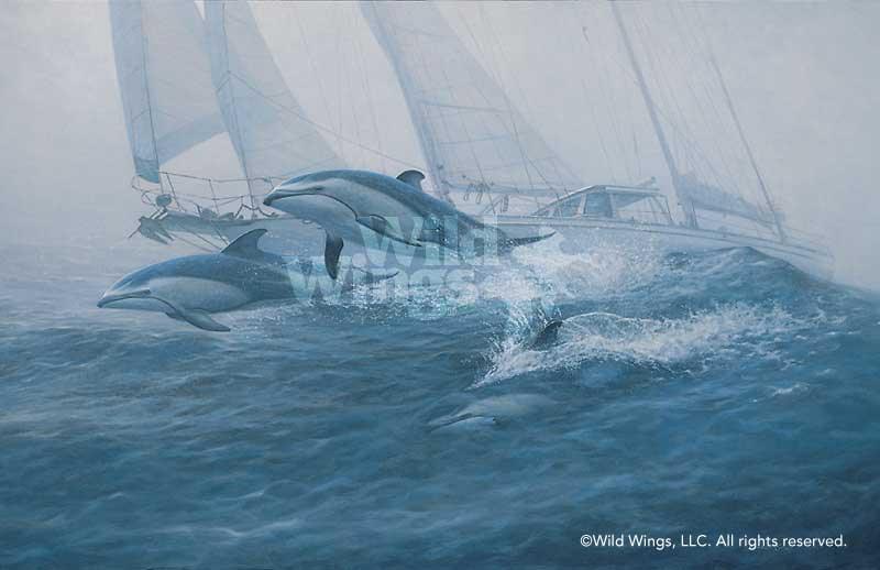 dolphins-art-print-bow-riders-by-randall-scott-1771065092d.jpg