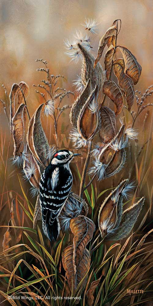 downy-woodpecker-with-milkweed-art-print-by-rosemary-millette-1593125031d_e286d66a-9e5c-4994-a641-fa4ef3c08c52.jpg