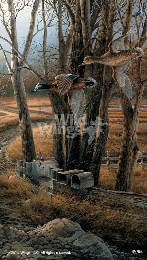 ducks-art-print-rural-route-blue-winged-teal-ducks-by-terry-redlin-1701446589d.jpg