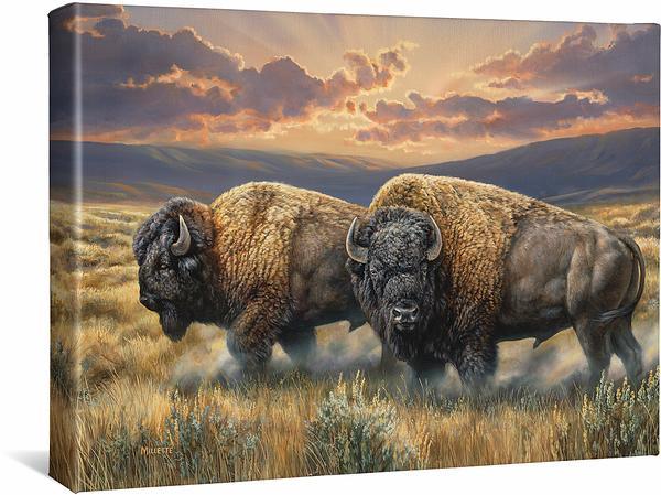 dusty-plains-bison-gallery-wrapped-canvas-rosemary-millette-F593130669CGW_eced673a-78c3-4577-8497-edc8fc318756.jpg