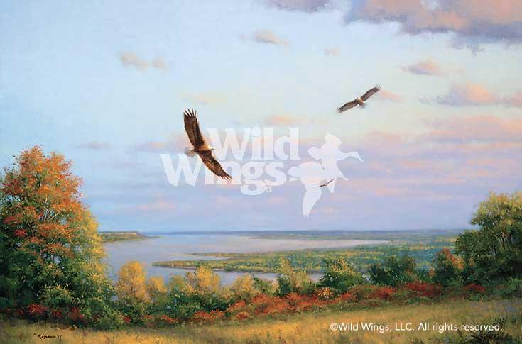 eagles-over-lake-pepin-art-print-by-marc-hanson-1378170032d_2f74da25-7be2-42f9-8af1-eb80e49b4c7b.jpg