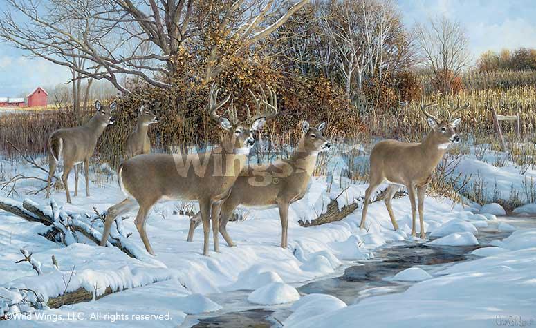 early-snow-deer-art-by-ron-van-gilder-1913155065d_be4b15fb-de87-4a1d-a164-34ae21e47115.jpg