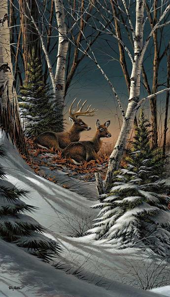 evening-with-friends-whitetail-deer-pinnacle-redlin-1701230965.jpg
