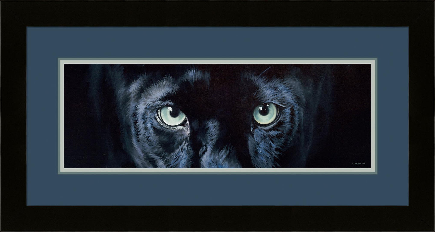eyes-puma-framed-limited-edition-print-brett-longley-F521180073.jpg