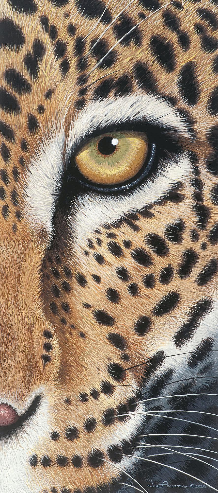 faceoff-leopard-art-collection-1028225073IG.jpg