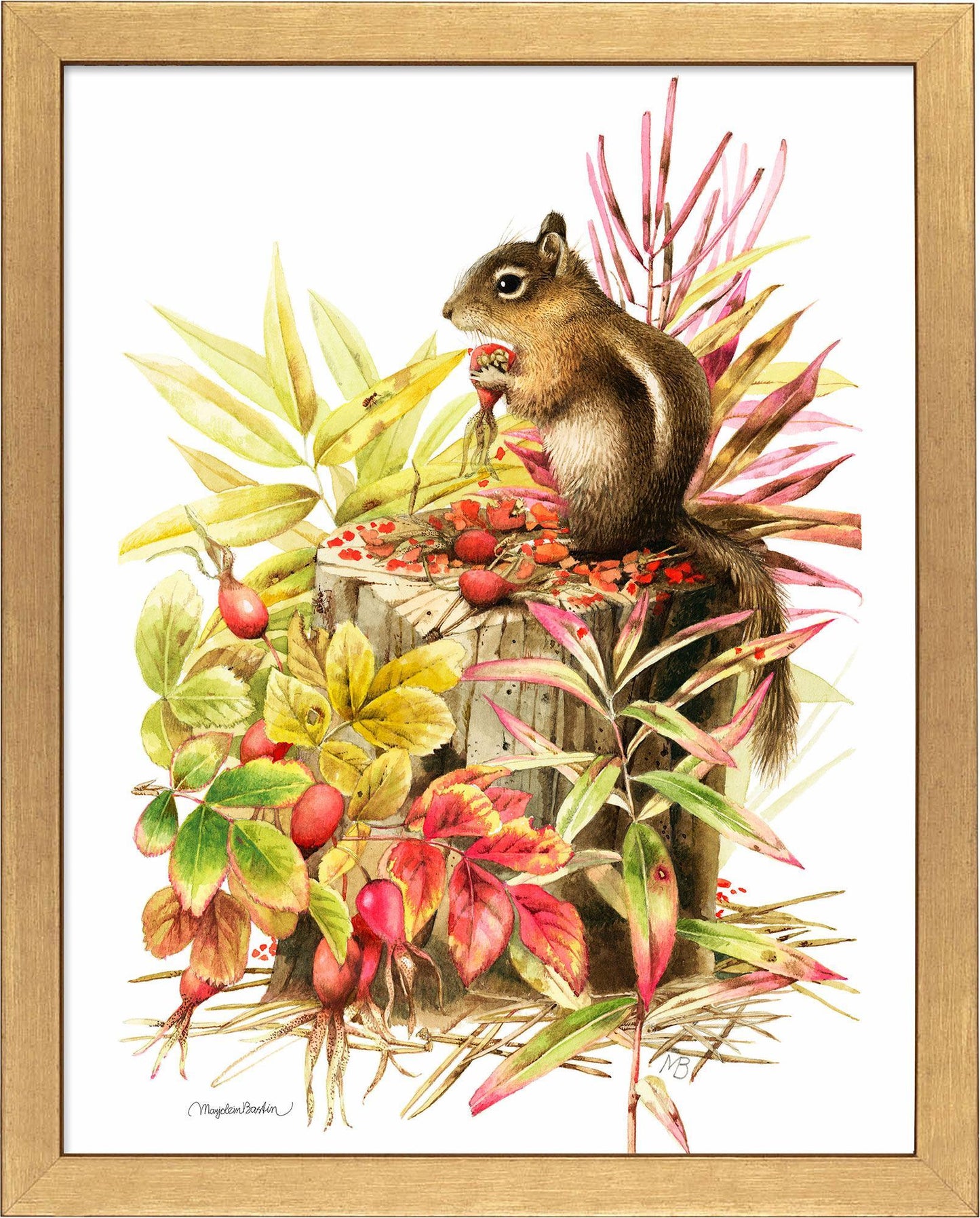 fd-colorados-mantled-squirrel14x11-ap-gold-F058185074G.jpg