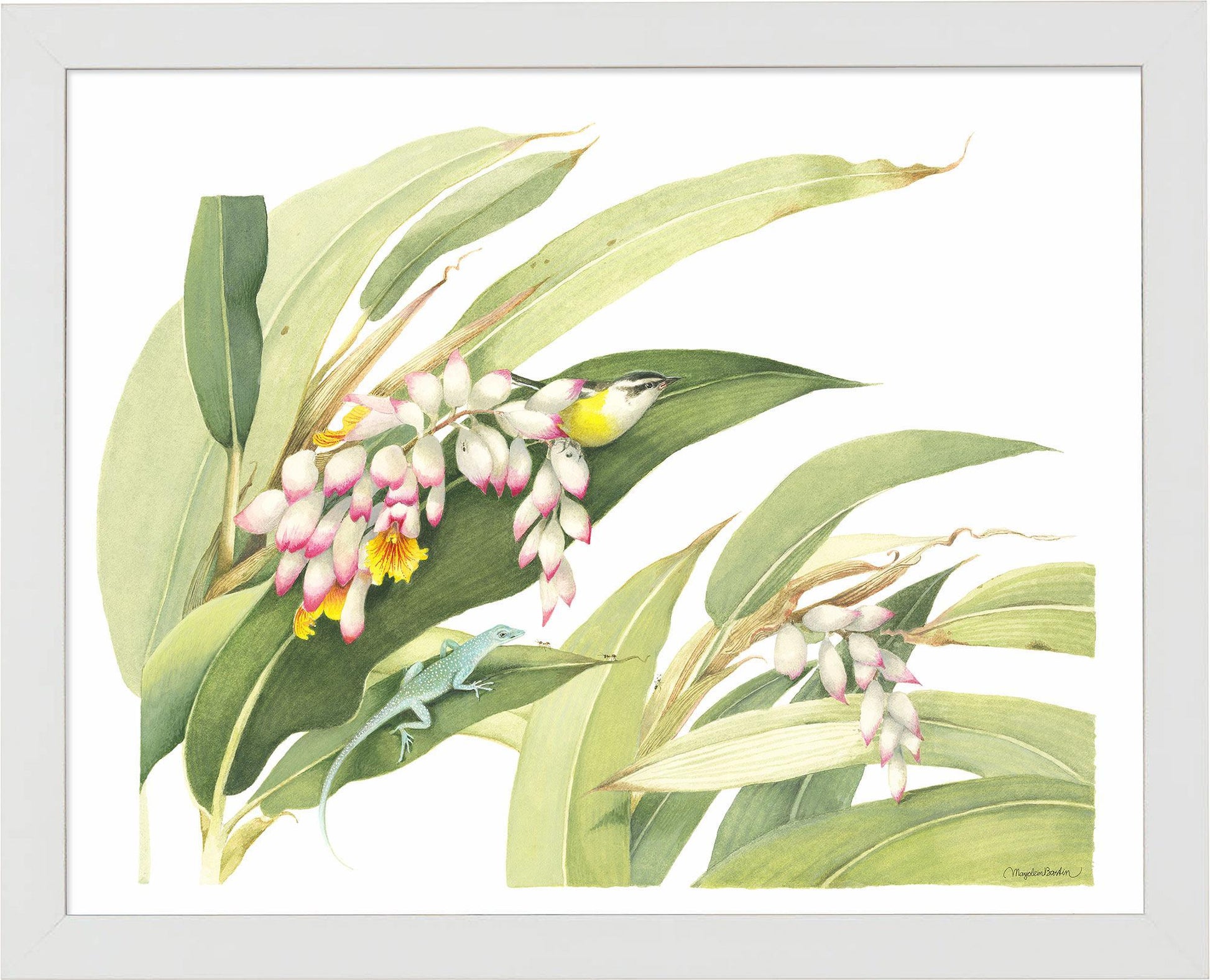 fd-flowering-ginger-plant14x11-ap-whitebas-F058225026W.jpg