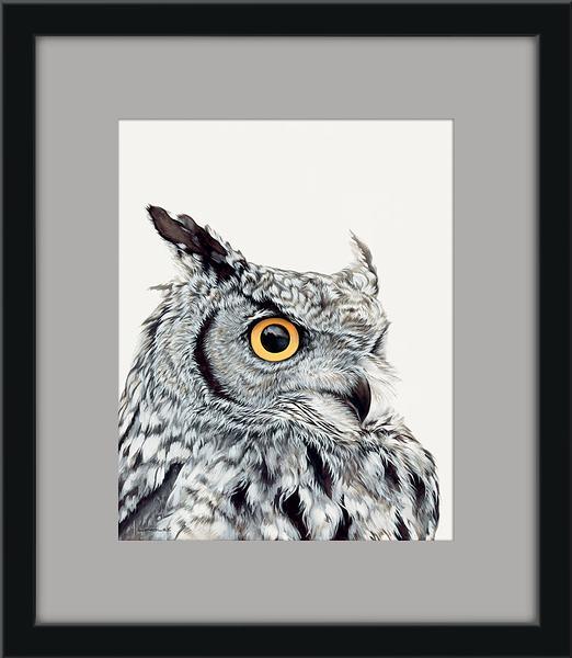 fd-great-horned-owllongley-F521370630.jpg