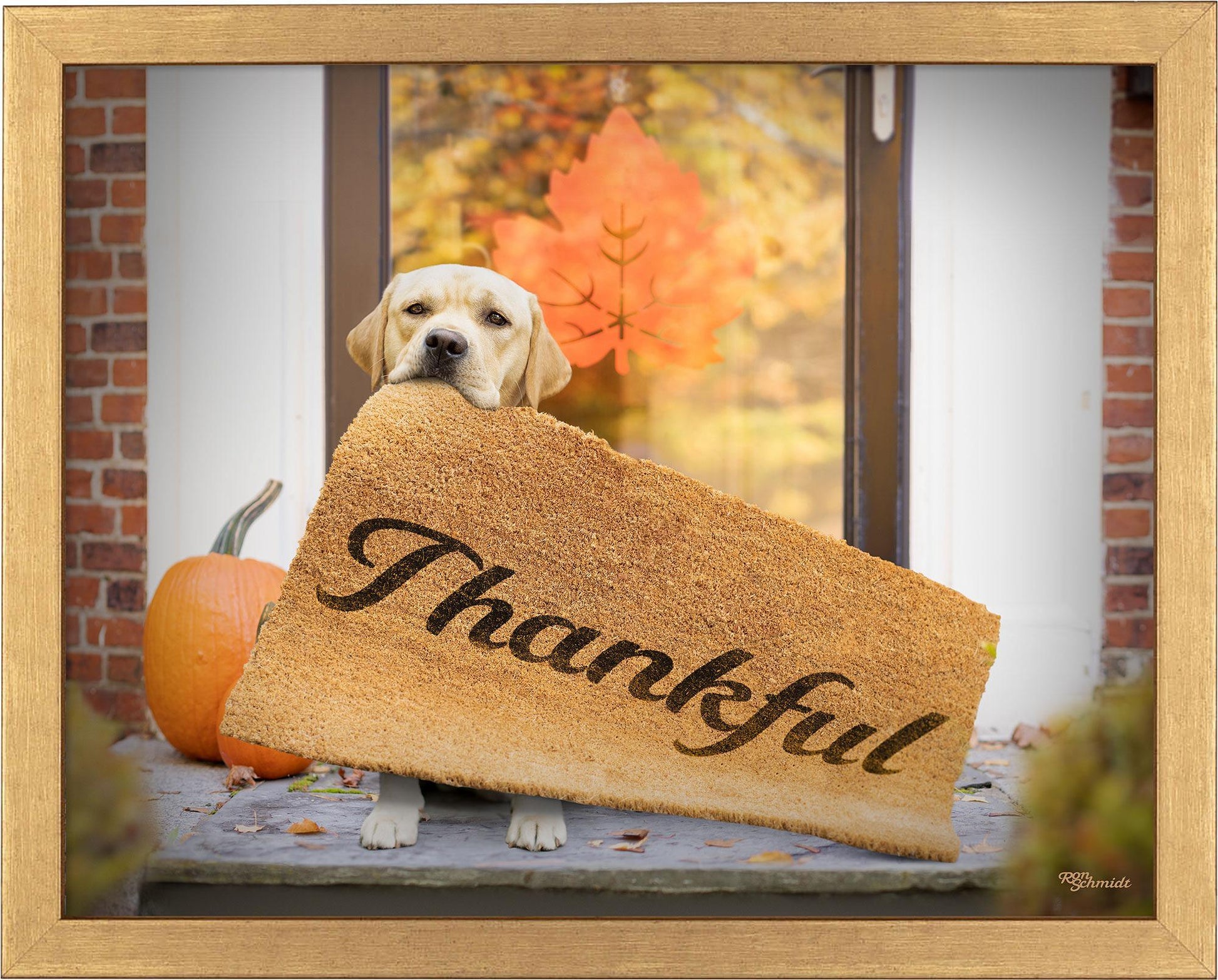 fd-thankdful11x14-ap-goldschmidt-F759847456G.jpg