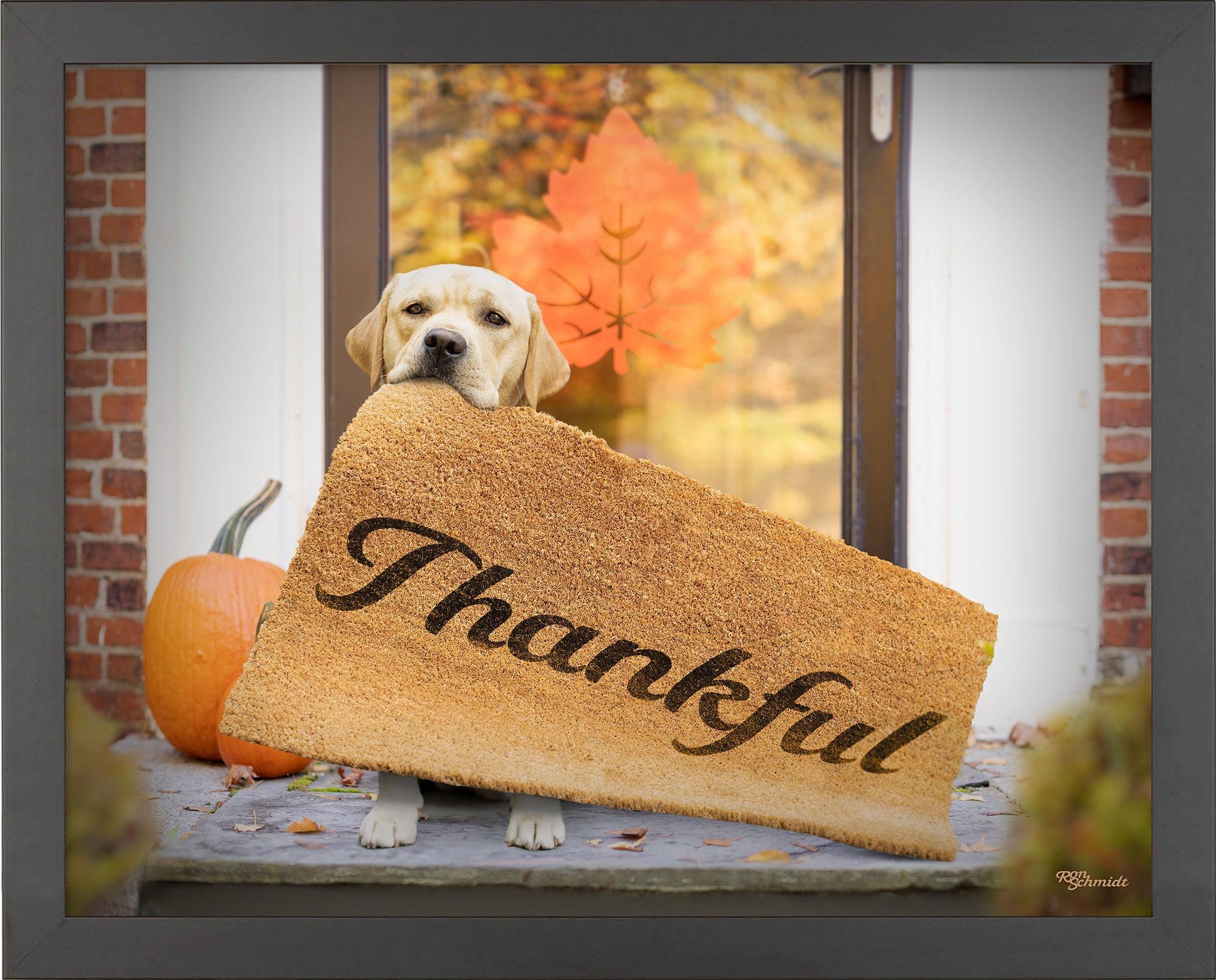 fd-thankful11x14-ap-blackschmidt-F759847456B.jpg