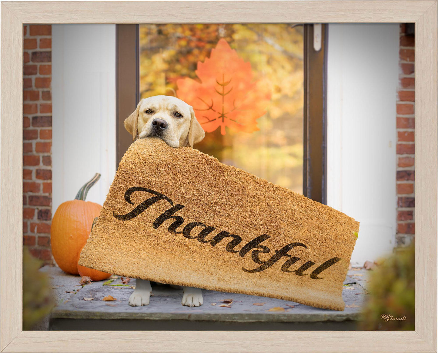 fd-thankful11x14-ap-naturalschmidt-F759847456N.jpg