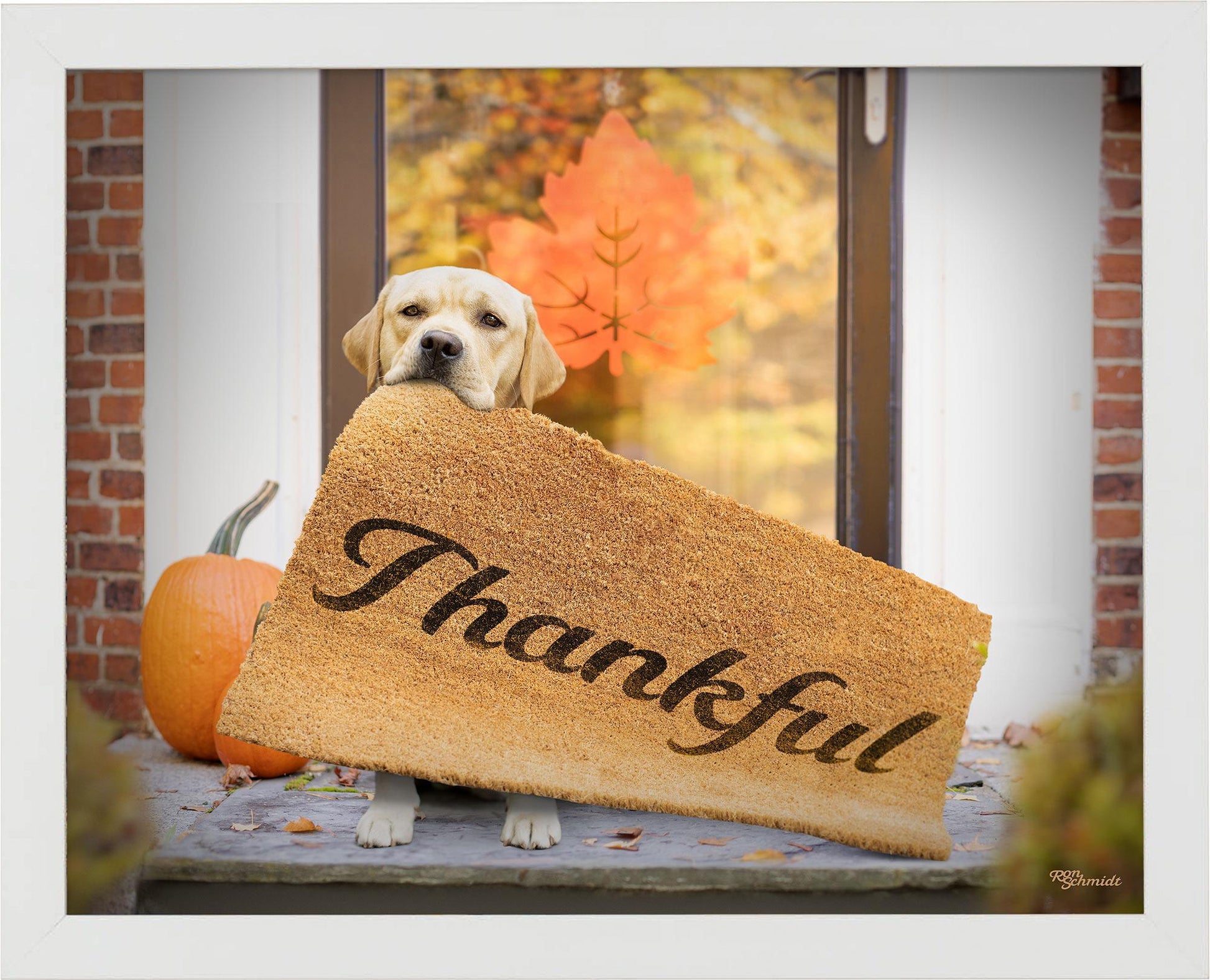 fd-thankful11x14-ap-whiteschmidt-F759847456W.jpg