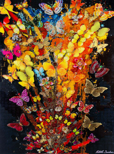 Feu D'Artifice Papillon - Limited Edition Canvas