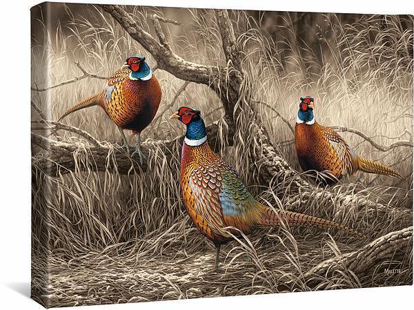 first-dusting-pheasants-gallery-wrapped-canvas-rosemary-millette-F593180119CGW_6304b6c2-693d-4c36-8014-a0256536ce5b.jpg