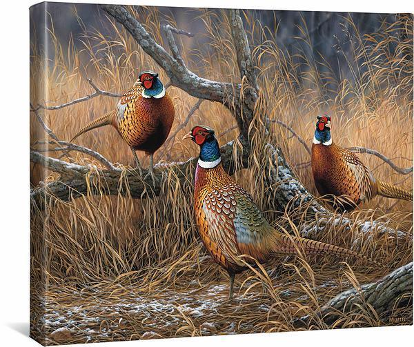 first-dusting-pheasants-gallery-wrapped-canvas-rosemary-millette-F593180319CGW_d9e295f0-98b0-487c-9a83-ab5c9055062c.jpg