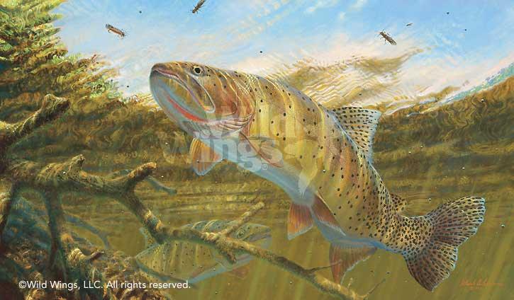 fish-art-print-matching-the-hatch-cuttroat-trout-by-mark-susinno-1835522051d_82790a7c-190d-4c10-8d35-0267a499b364.jpg