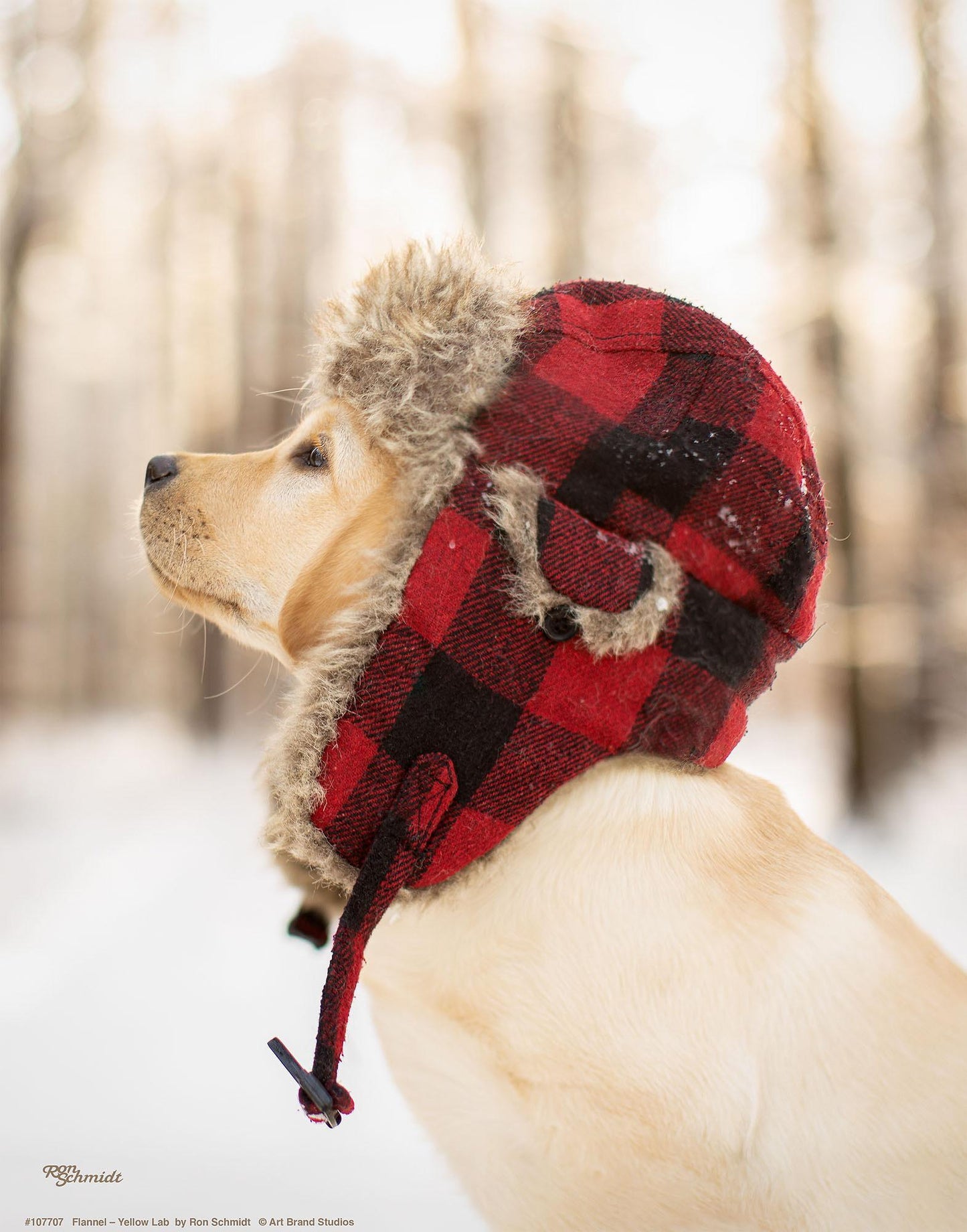 flannel-yellow-lab-art-collection-1759137556IG.jpg