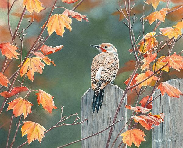 flicker-in-maple-group-1085223049IG_9c188cb3-2bc3-4ebf-8d91-5ed7a26c40a7.jpg