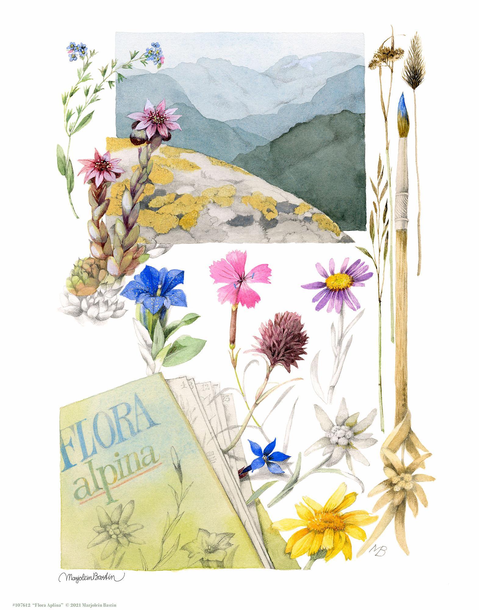 flora-alpina-art-collection-1058224890IG.jpg