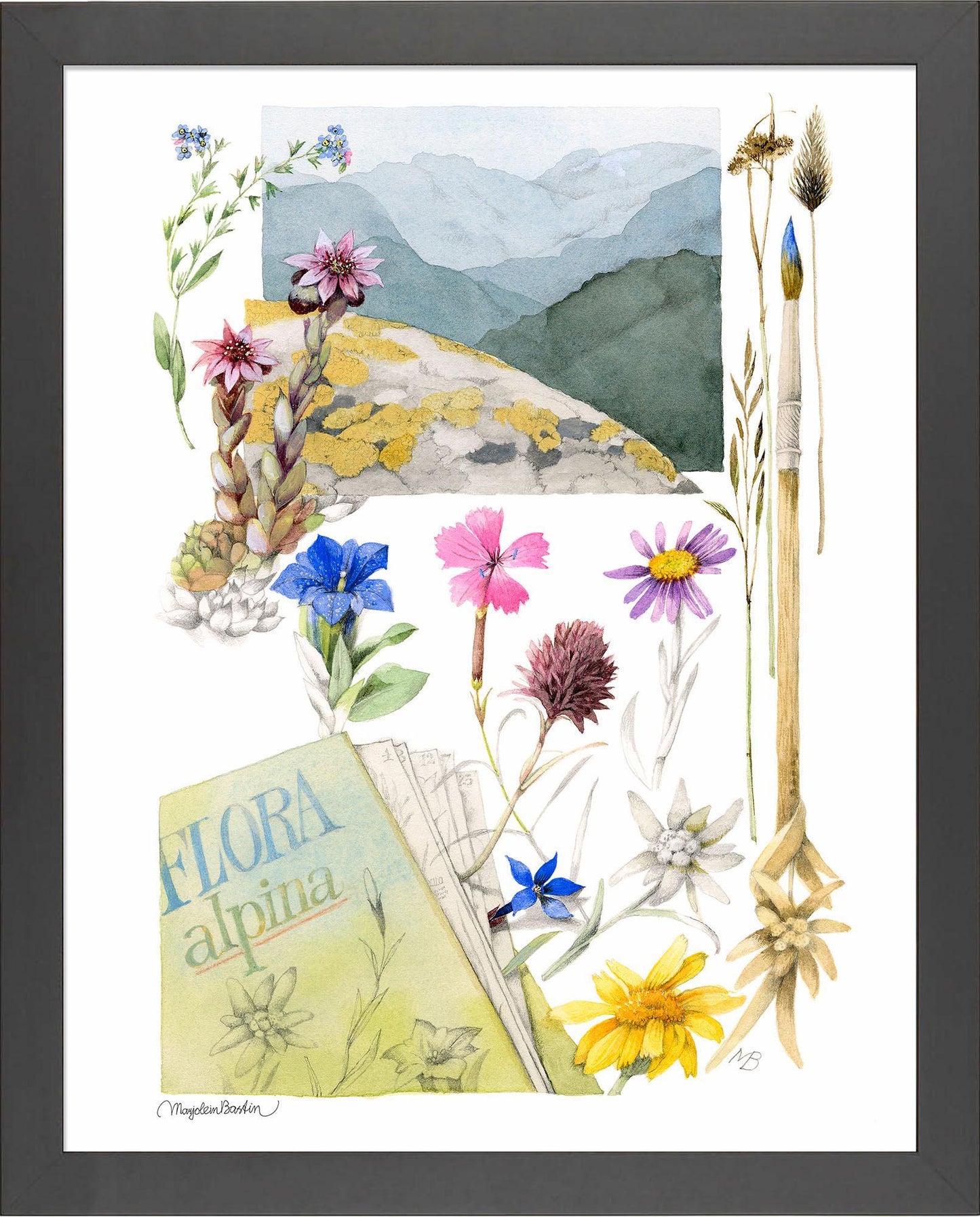flora-alpina-framed-print-F058224890B.jpg