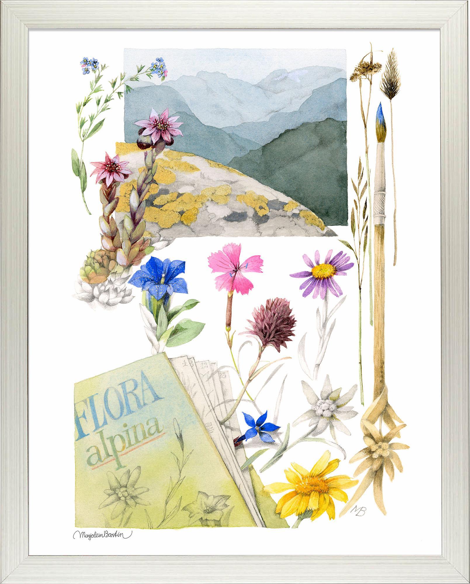 flora-alpina-framed-print-F058224890S.jpg