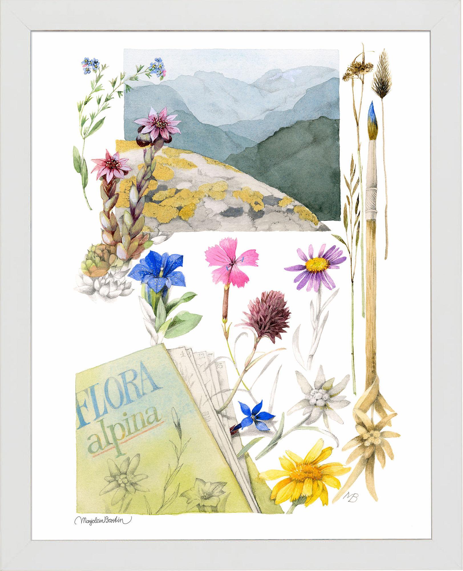 flora-alpina-framed-print-F058224890W.jpg