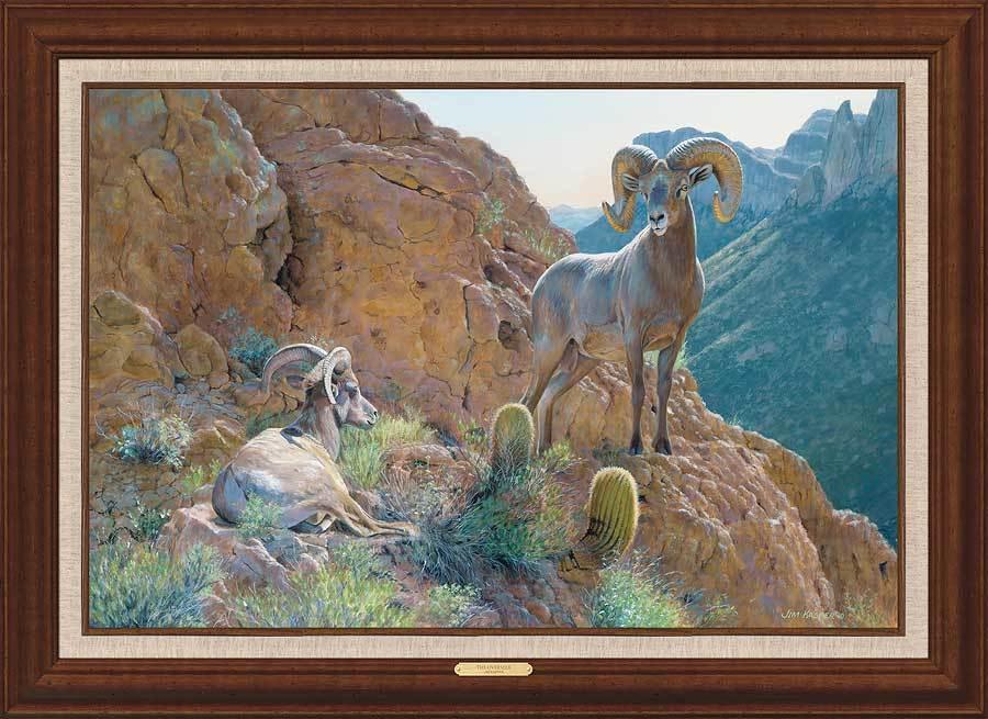 framed-bighorn-sheep-canvas-art-print-the-overseer-by-jim-kasper-F423551470d_b40fdecf-41ee-4f91-9acf-3912c1ad8098.jpg